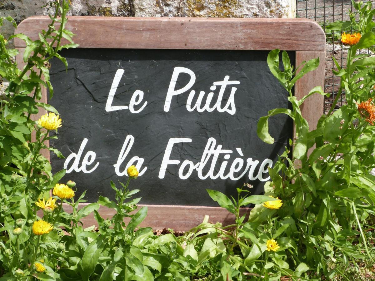 Bed and Breakfast Le Puits De La Foltiere Azay-sur-Cher Экстерьер фото